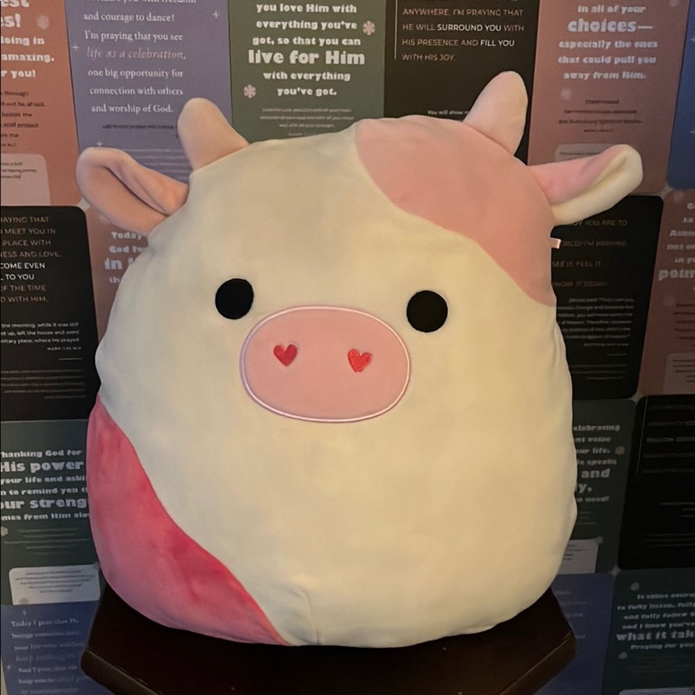Caedyn the cow squishmallow!